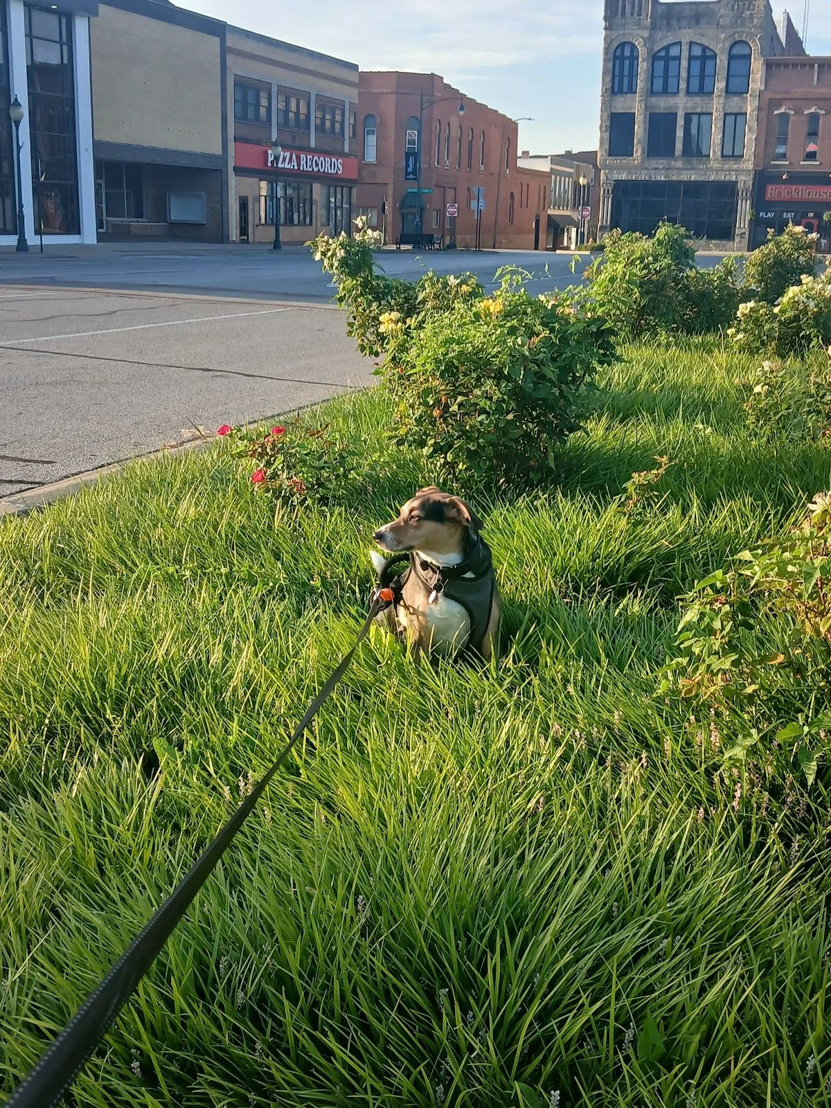 Times Square Sewing Complex