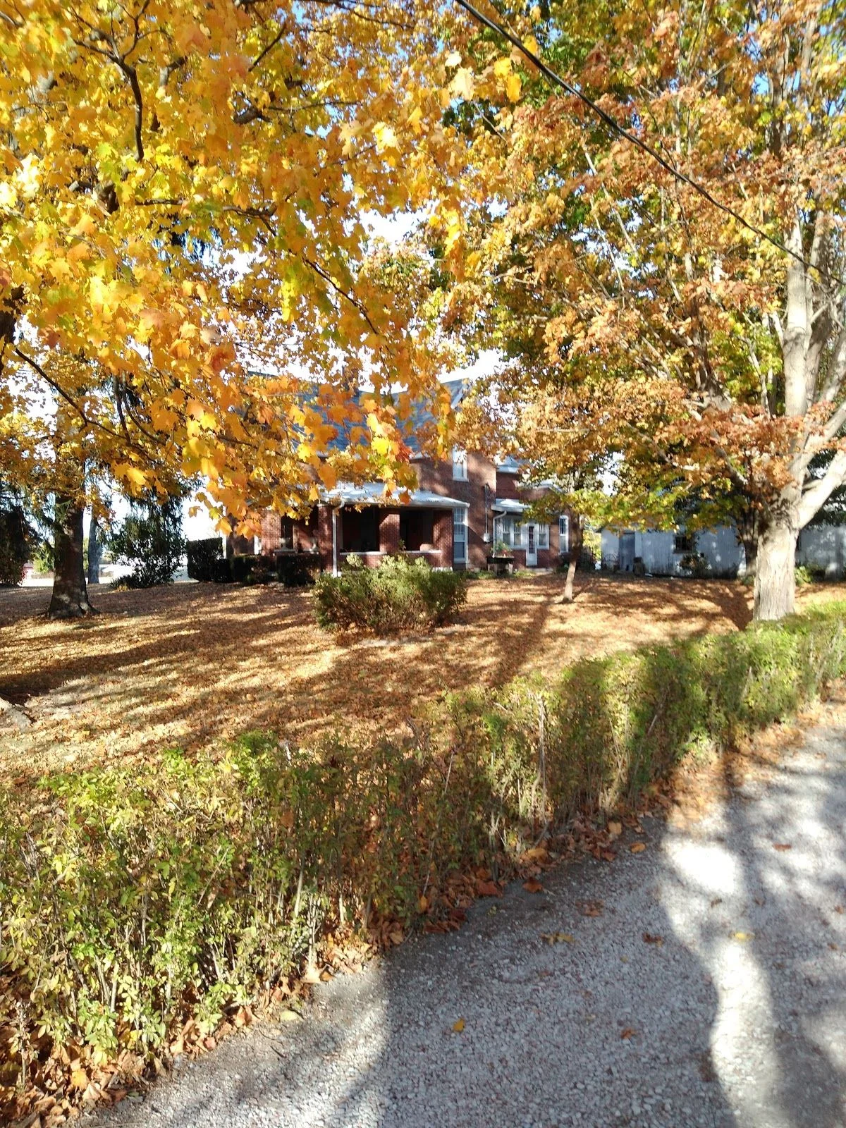 Sarah's Machine Quilting