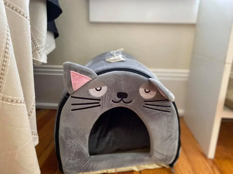 Furry Friends Treats