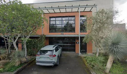 The Kate Ause Showroom