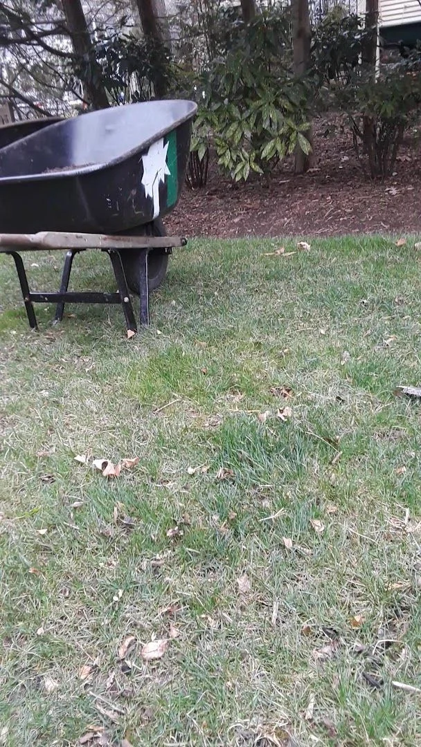 Textile Conservation Services