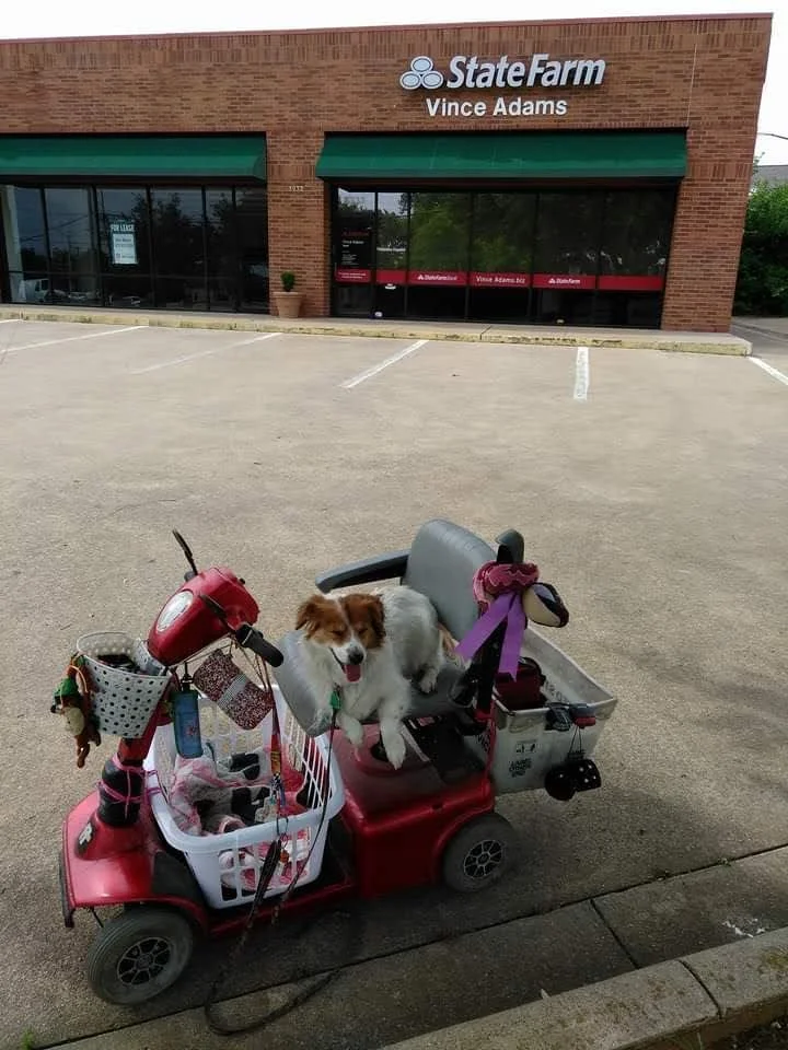 Ladybug Quilt Fabric