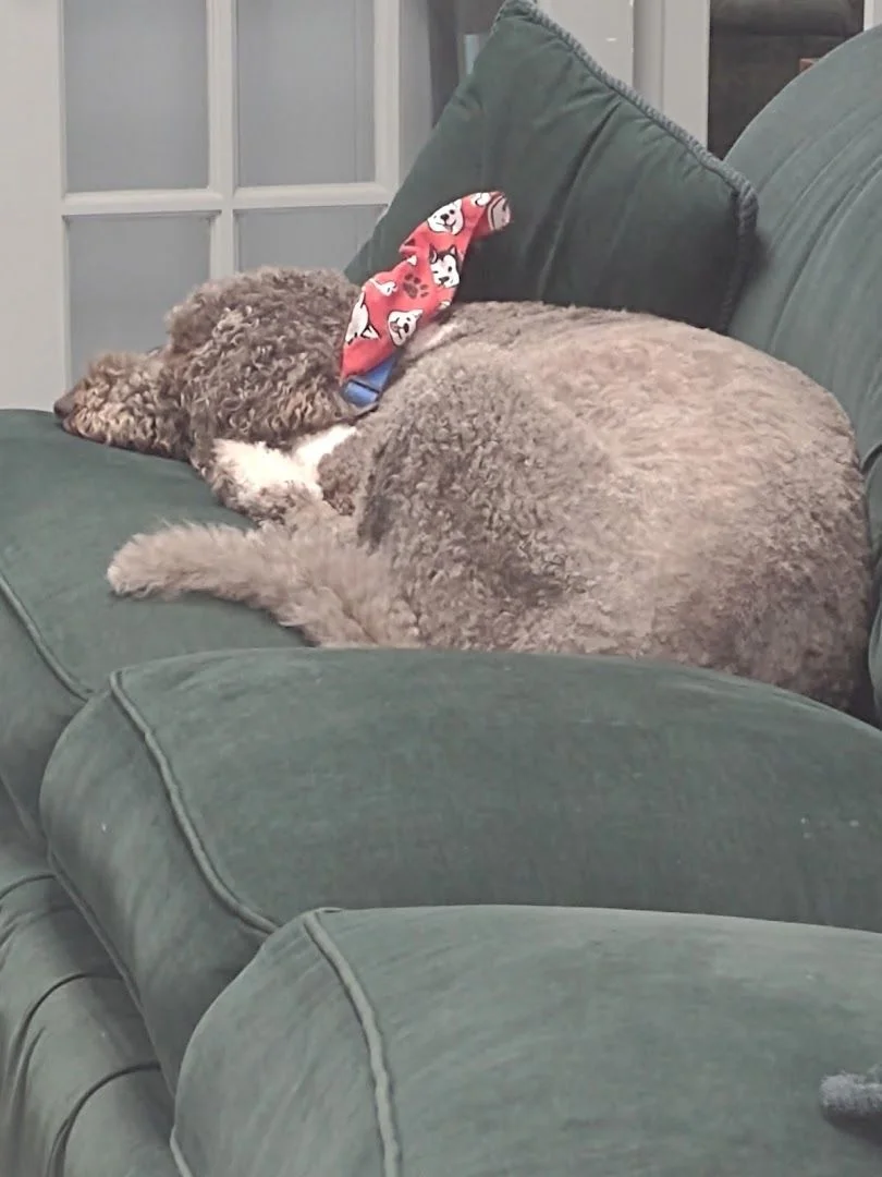 High Point Fabrics, Inc.