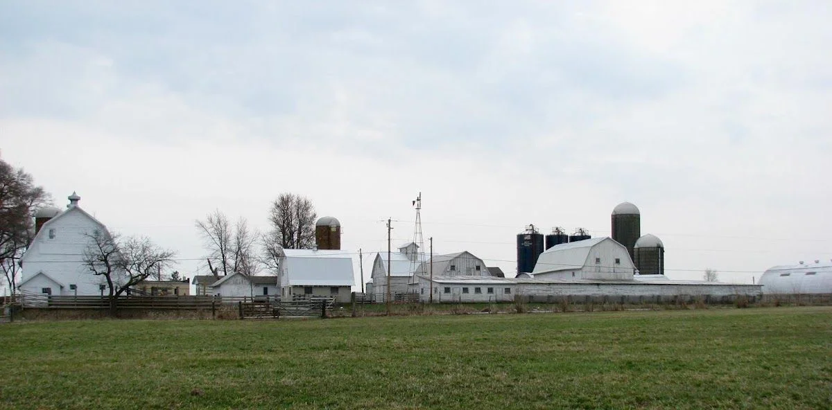 Fox Farmhouse Quilting