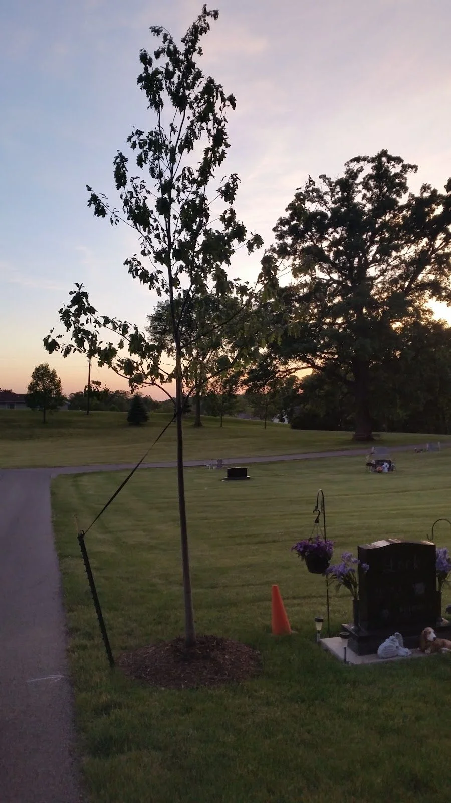 Johnson Sewing Machine Repair